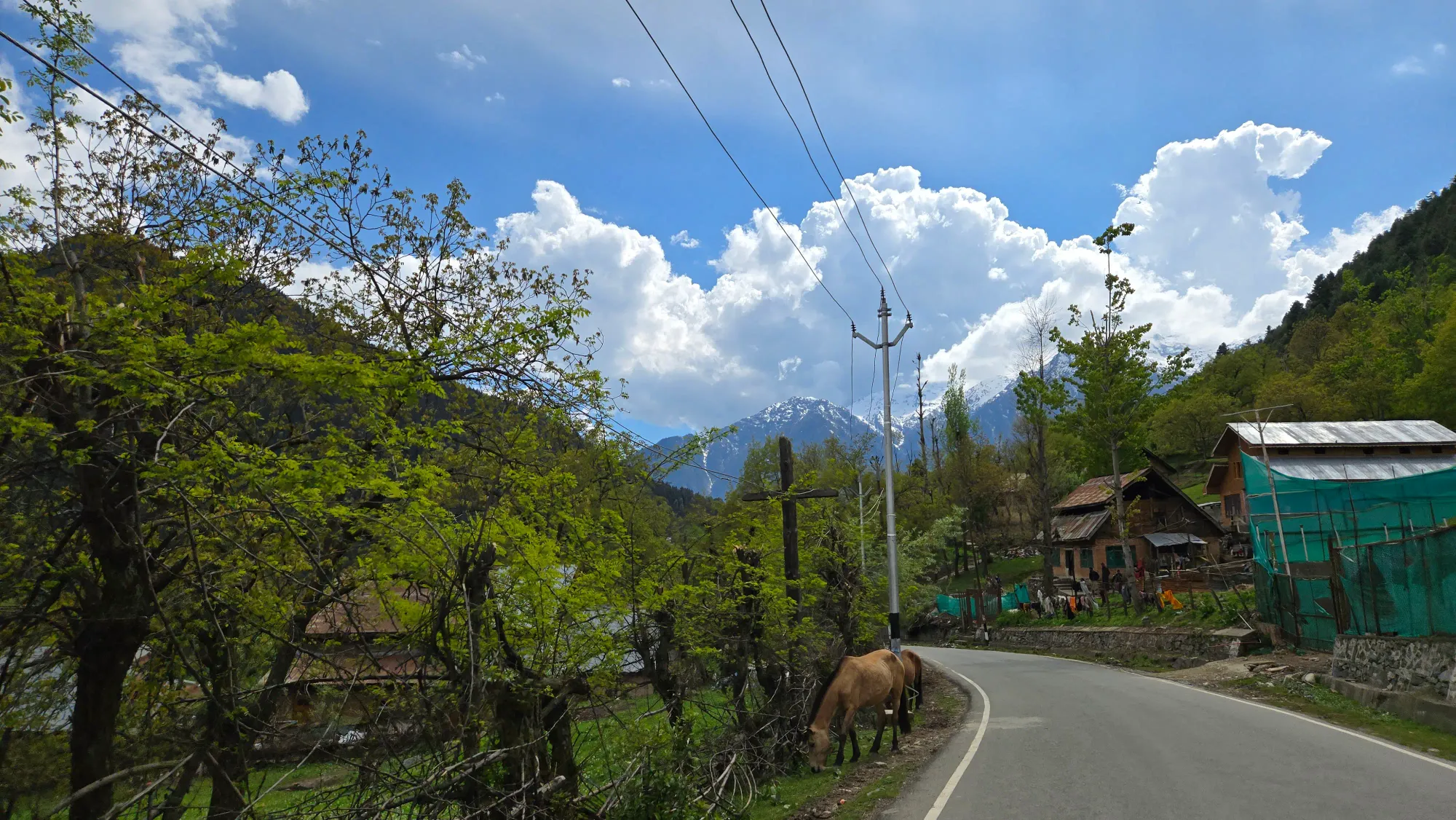 Green meadows in Pahalgam with mountain views