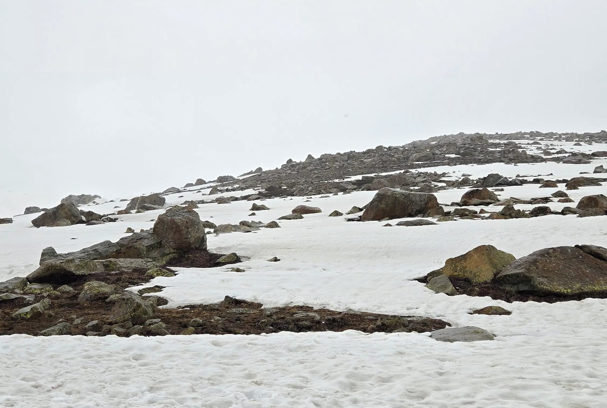Snow covered landscape of Gulmarg