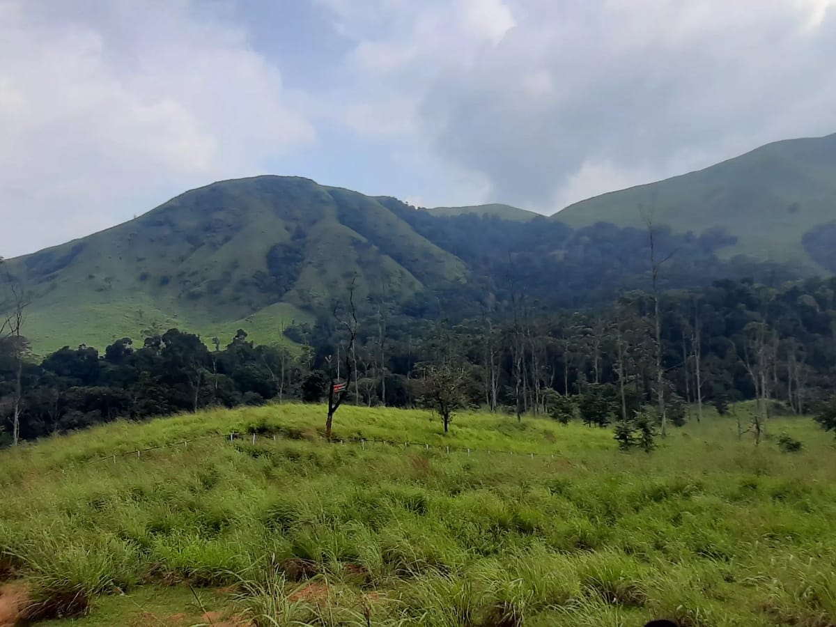 How Sanjay Dani's First Trip with Thrillophilia Became a Memorable Kerala Holiday