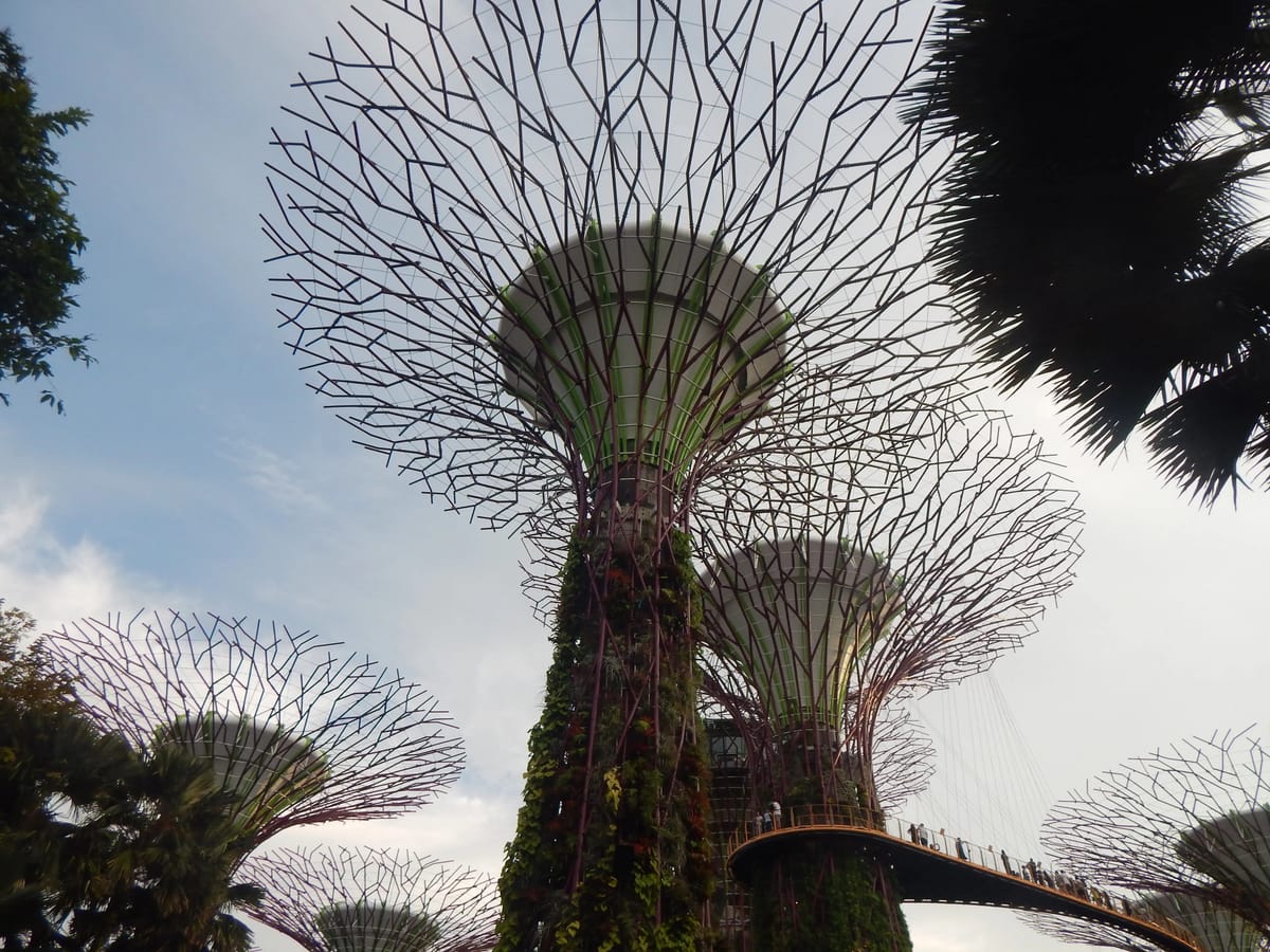 Tridip’s Singapore Family Adventure with Thrillophilia: Five Days of Wildlife, Wonder & Family Fun
