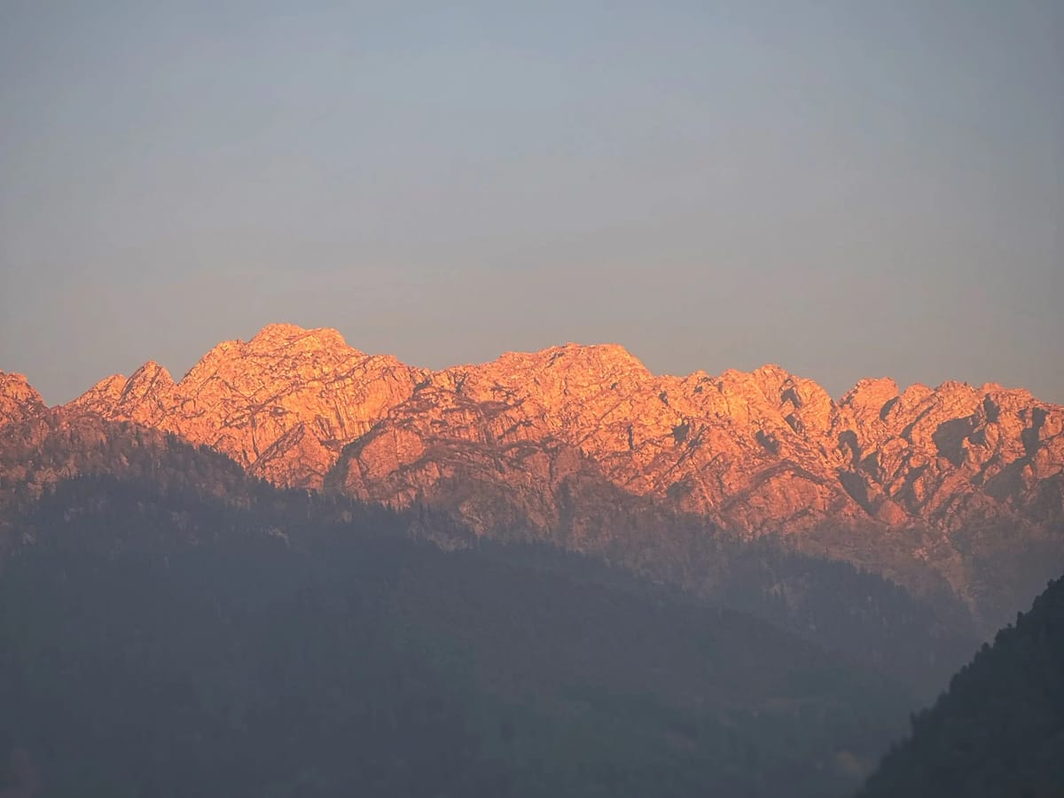 Vishnu’s Kashmir Review: A Golden Autumn Escape Planned by Thrillophilia