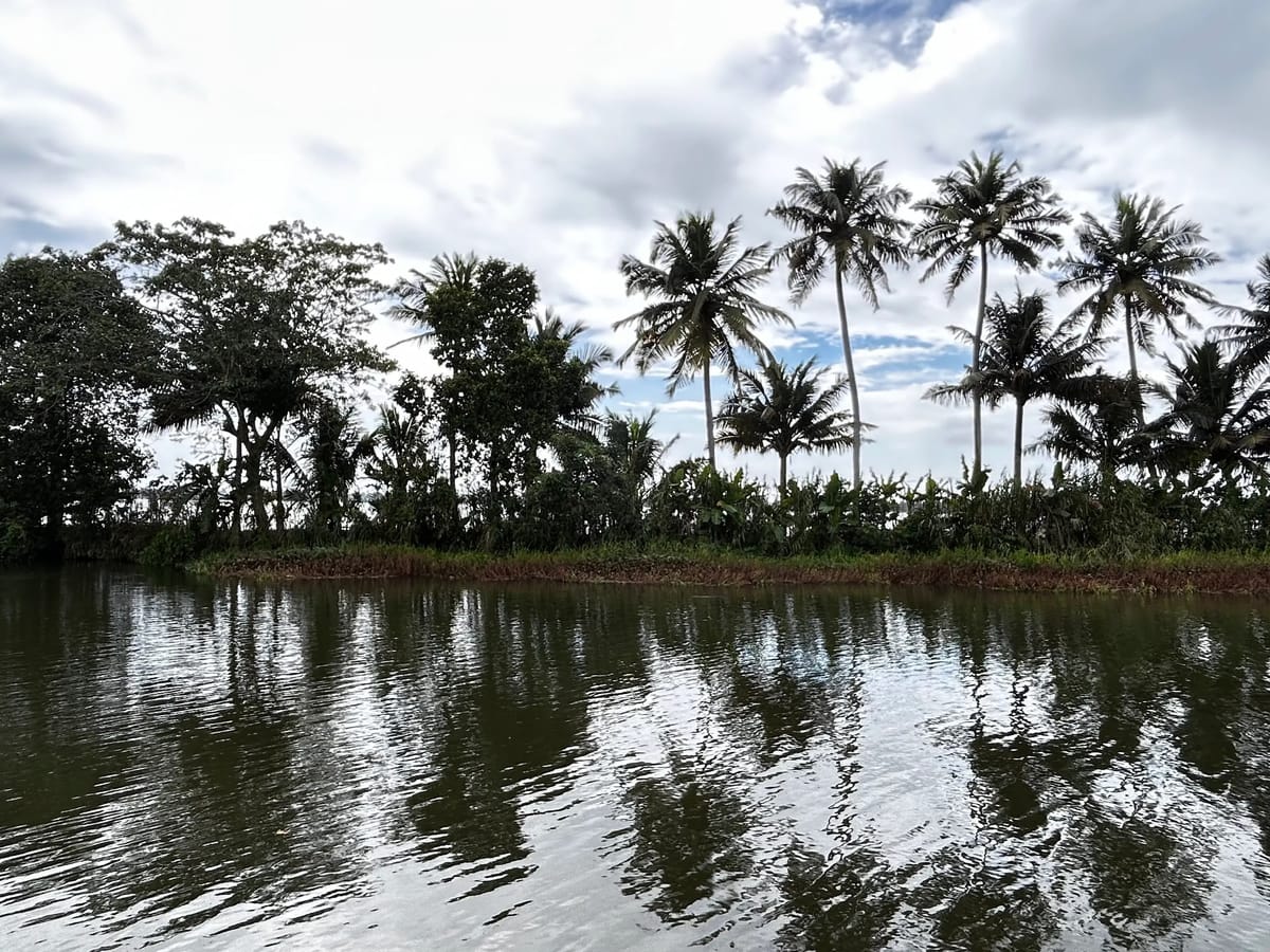 From Hills to Backwaters: Four Friends Discover Kerala Together with Thrillophilia
