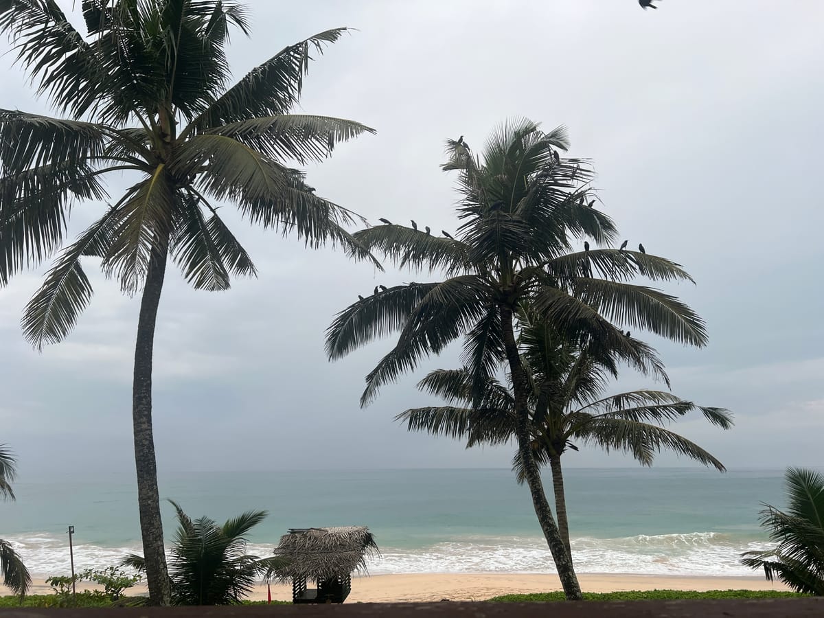 Amit Sachdeva’s 7-Day Solo Sri Lankan Vacation with Thrillophilia