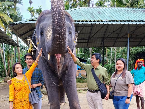 Amrita's Kerala Trip With Thrillophilia: Discovering Kerala One Landscape at a Time