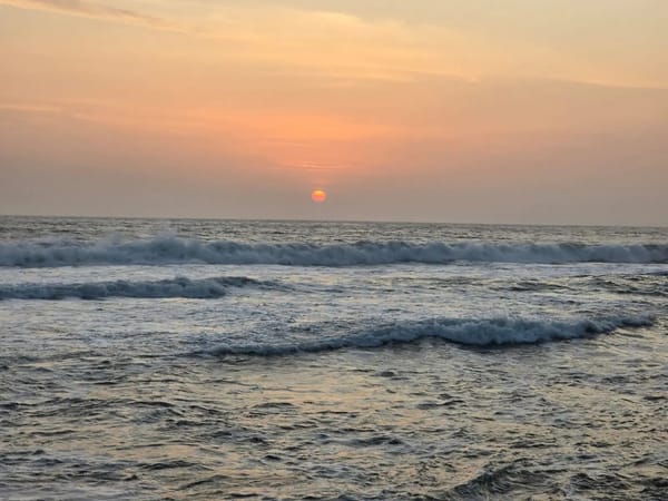 Three Generations, One Kerala Adventure: The Tapare Family's Journey with Thrillophilia