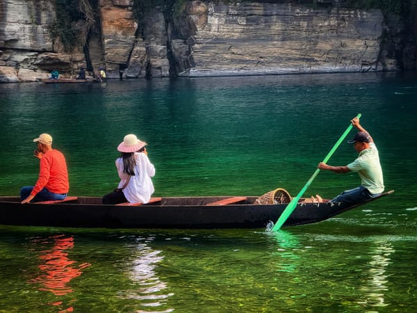 Rhinos, Root Bridges and Rivers: Skanda and Aravind's North-East Trip with Thrillophilia