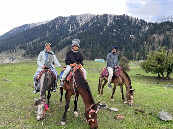 Rashida's Kashmir Trip with Thrillophilia: A Kashmir Family Holiday Planned with Care