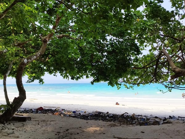 Aritra Das’s Romantic Andaman Honeymoon With Thrillophilia