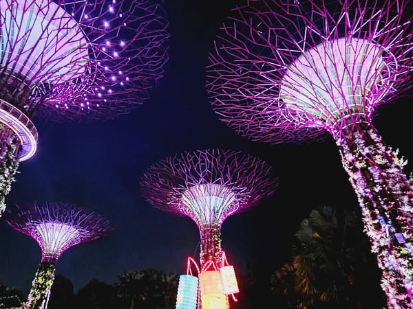 Vinitha and Vinay’s Singapore and Malaysia Escape: Five Days of Amazement with Thrillophilia