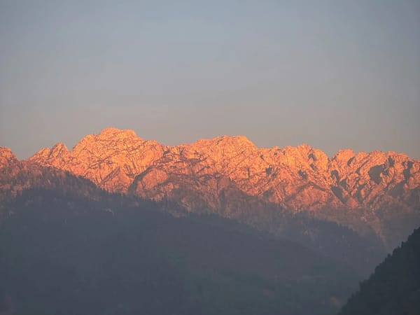 Vishnu’s Kashmir Review: A Golden Autumn Escape Planned by Thrillophilia