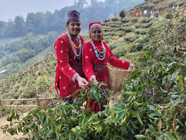 Sai Pavan Kancherla Explores Sikkim and Darjeeling on His Honeymoon Trip: A Thrillophilia Review