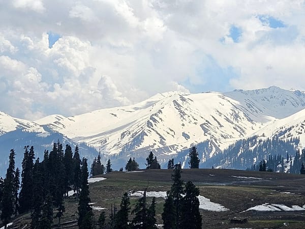 Vasudevan N Explores the Wonders of Kashmir with His Family with Thrillophilia