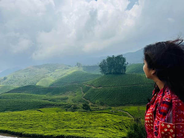 How Four Friends Experienced Kerala's Contrasting Landscapes in Just Five Days with Thrillophilia